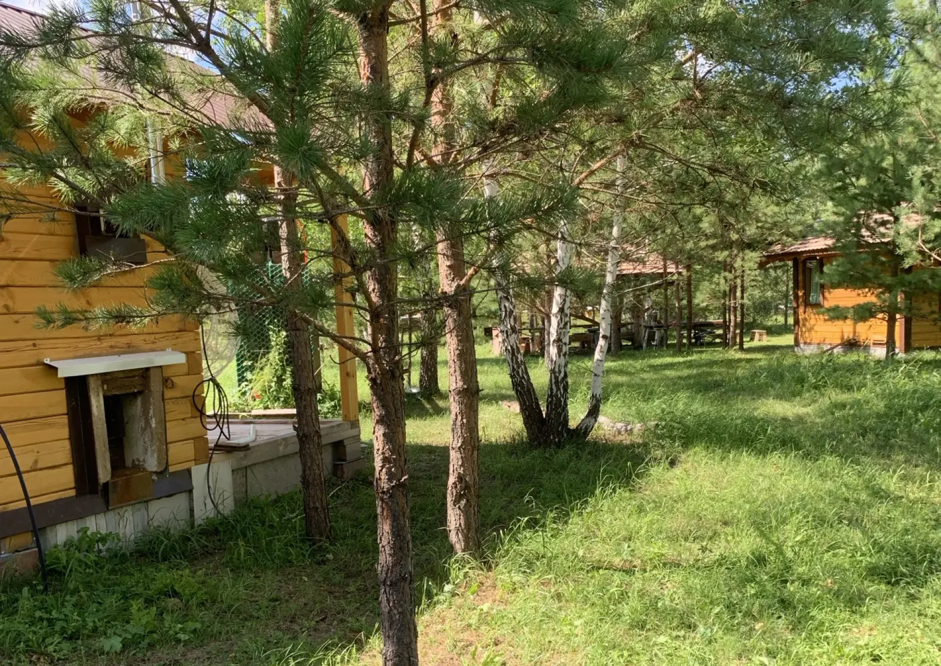 «Родная пасека»