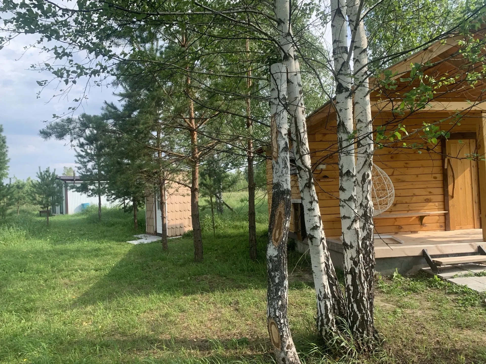 «Родная пасека»