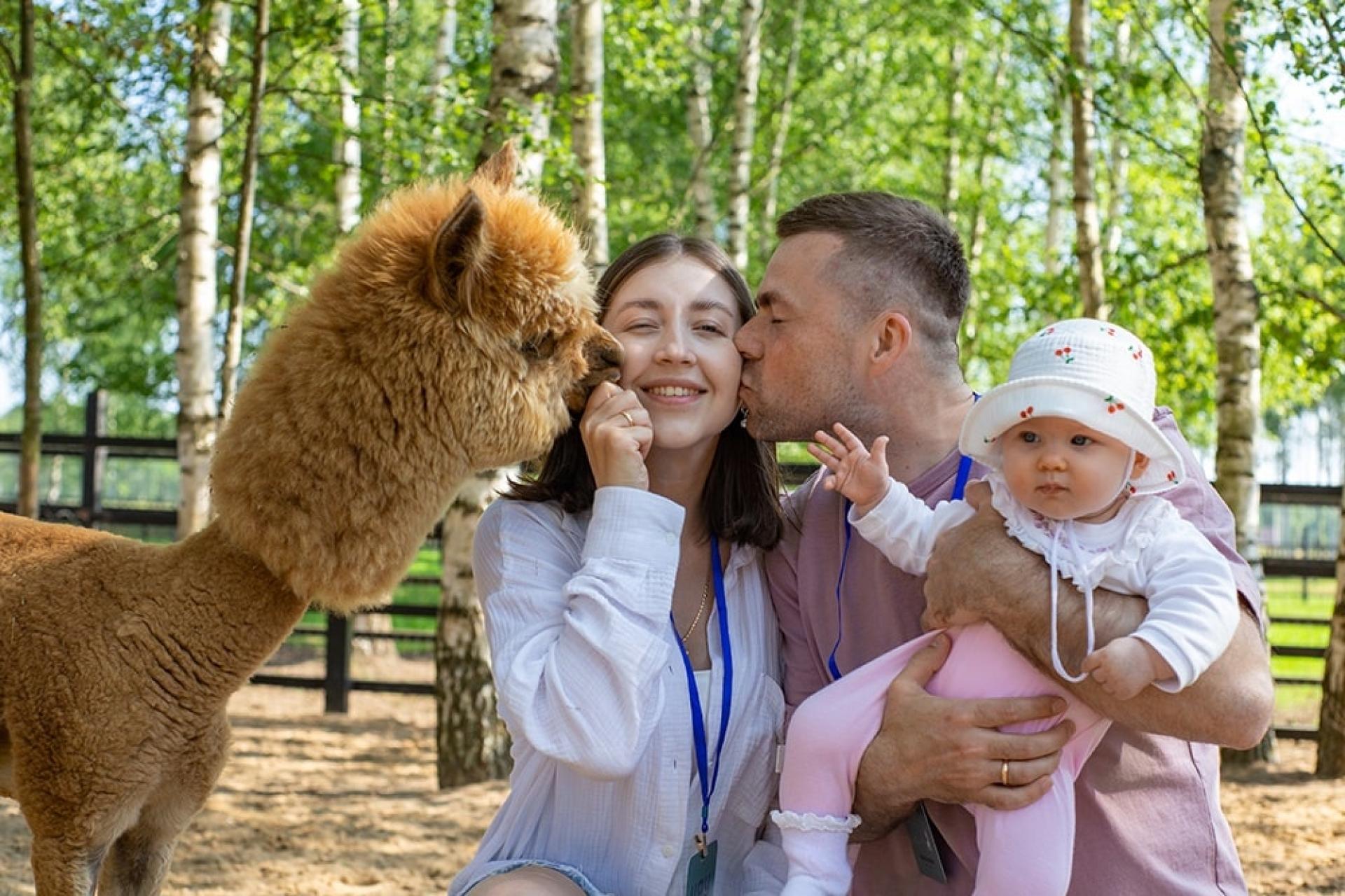 Парк альпак «Пача Мама»