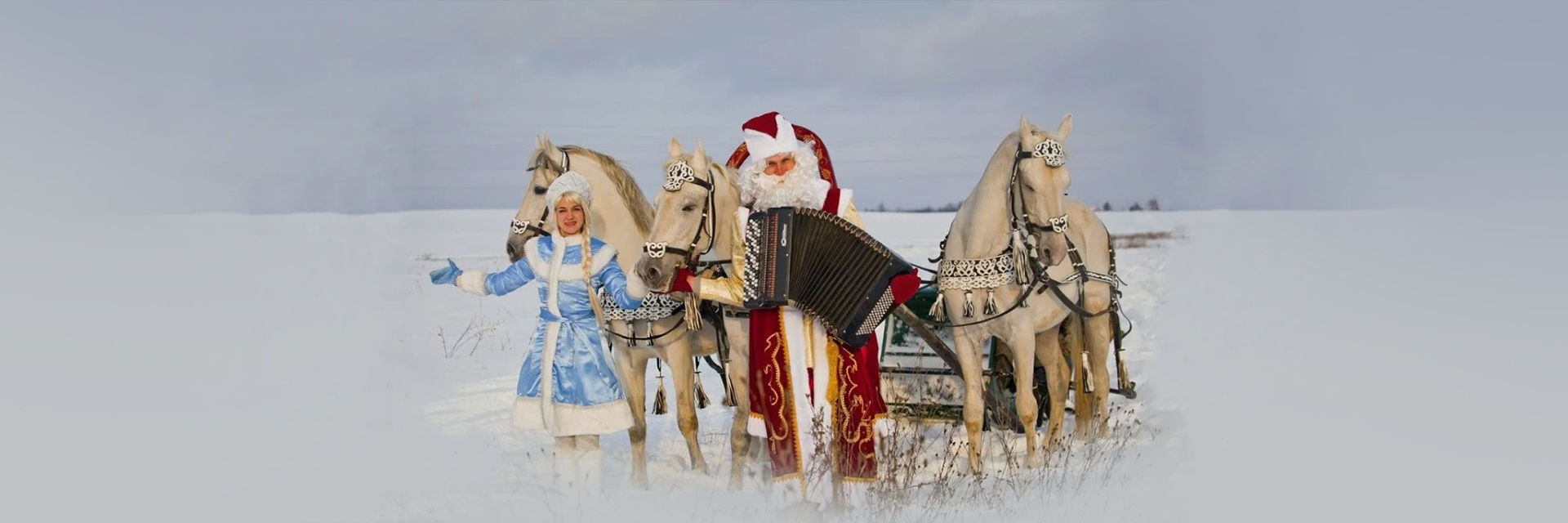 Новый год в Доме-музее русских пород лошадей
