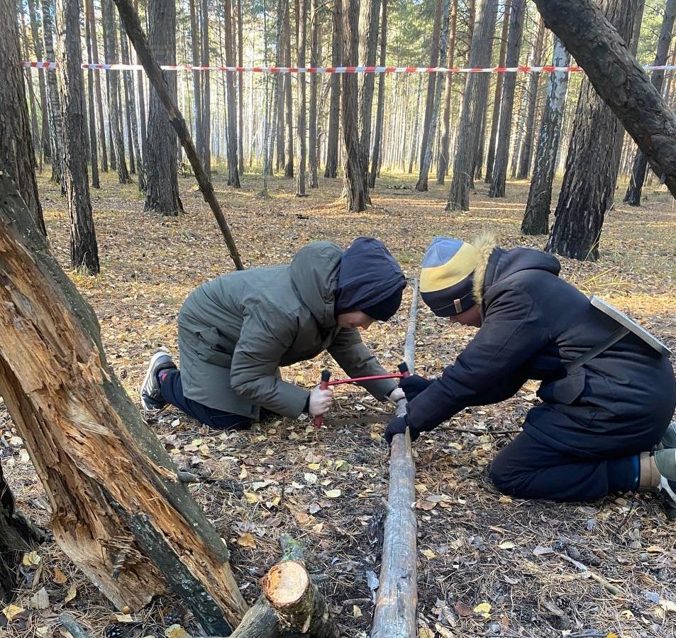 Семейный поход с игрой «99 ночей в лесу» - картинка 1