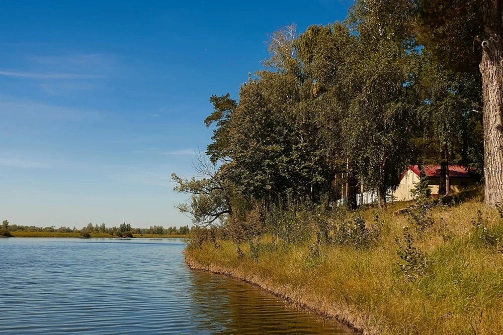 Центр оздоровления и реабилитации «Красная гвоздика»