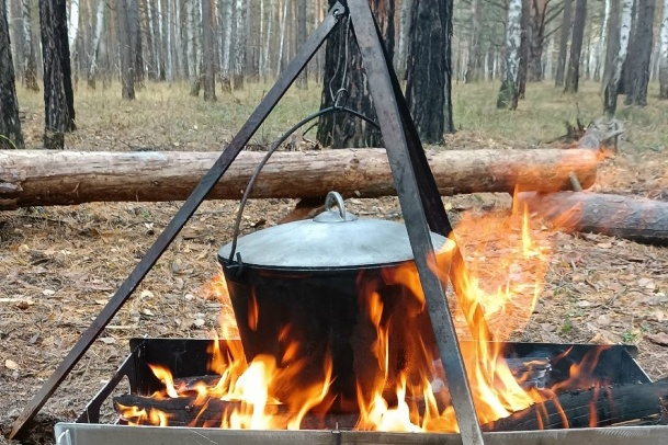 Семейный поход с игрой «99 ночей» - картинка 1