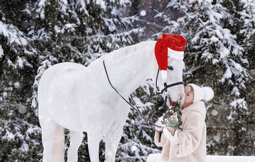 Экскурсия по конноспортивному клубу «Олимпия» - картинка 1