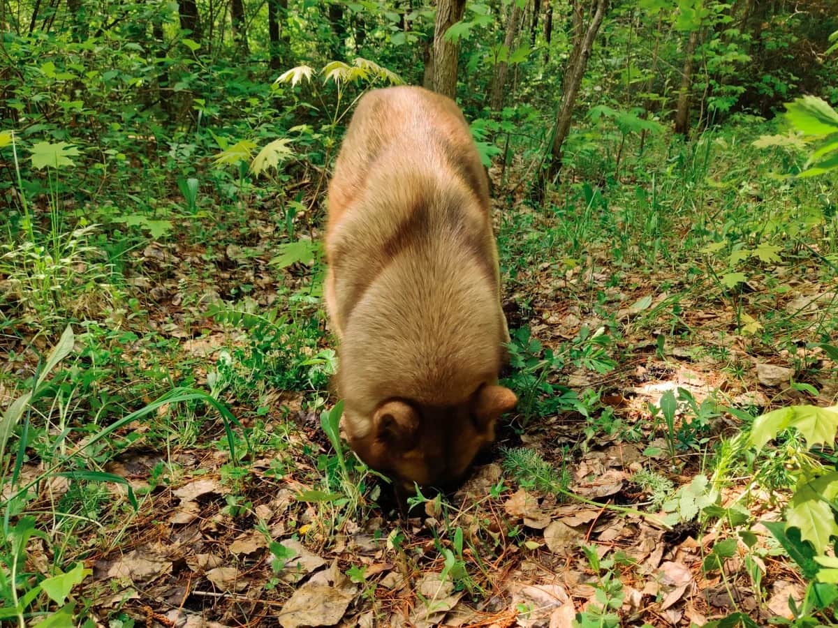 дендропарк5-2