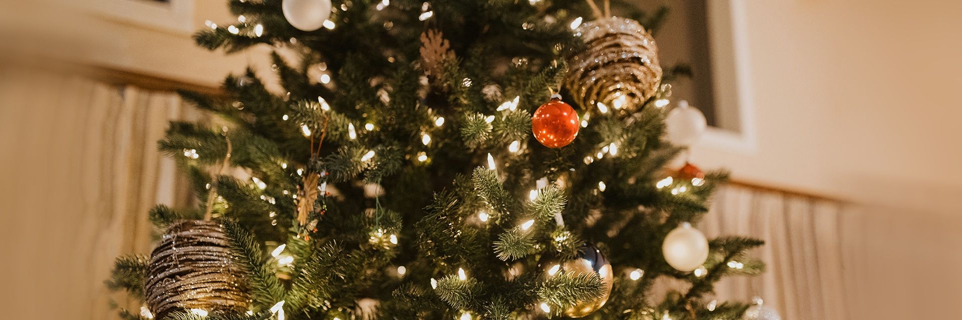 Новогодняя программа «Как Мороз-воевода с дозором приехал»