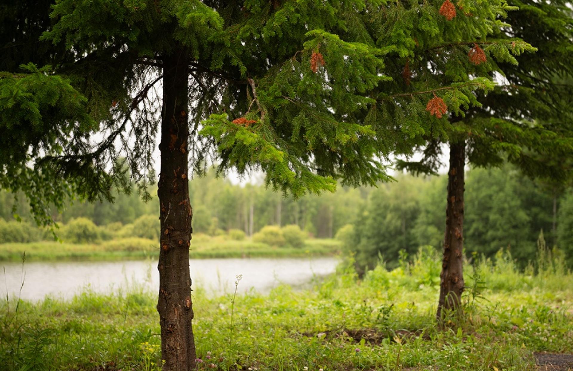 Оздоровительный центр «Веда»