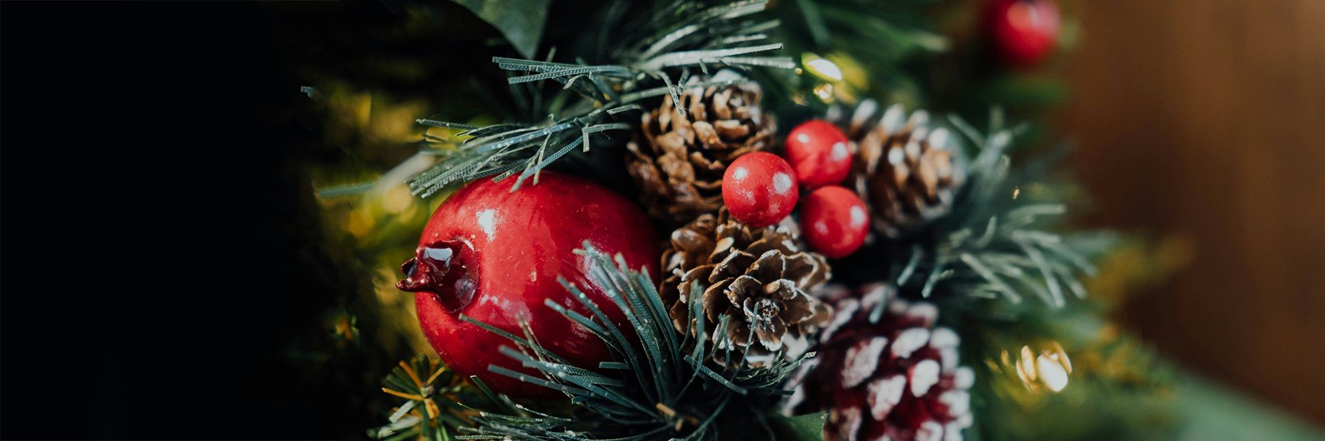 Новогодний интерактив «Альпака-елка» в парке «Пача Мама»