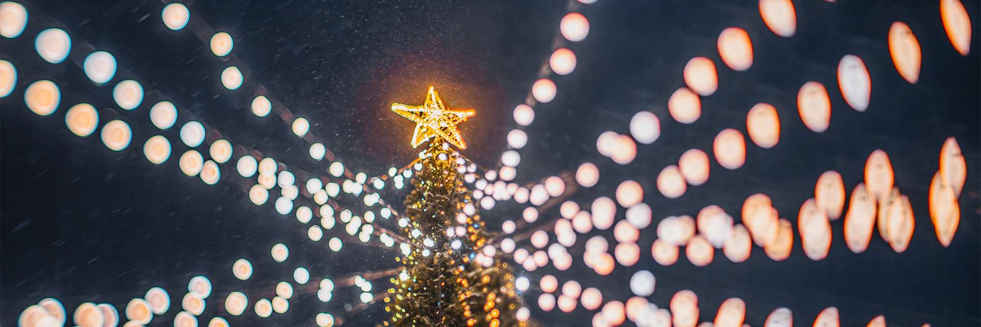 Концертная программа «Рождественские встречи»