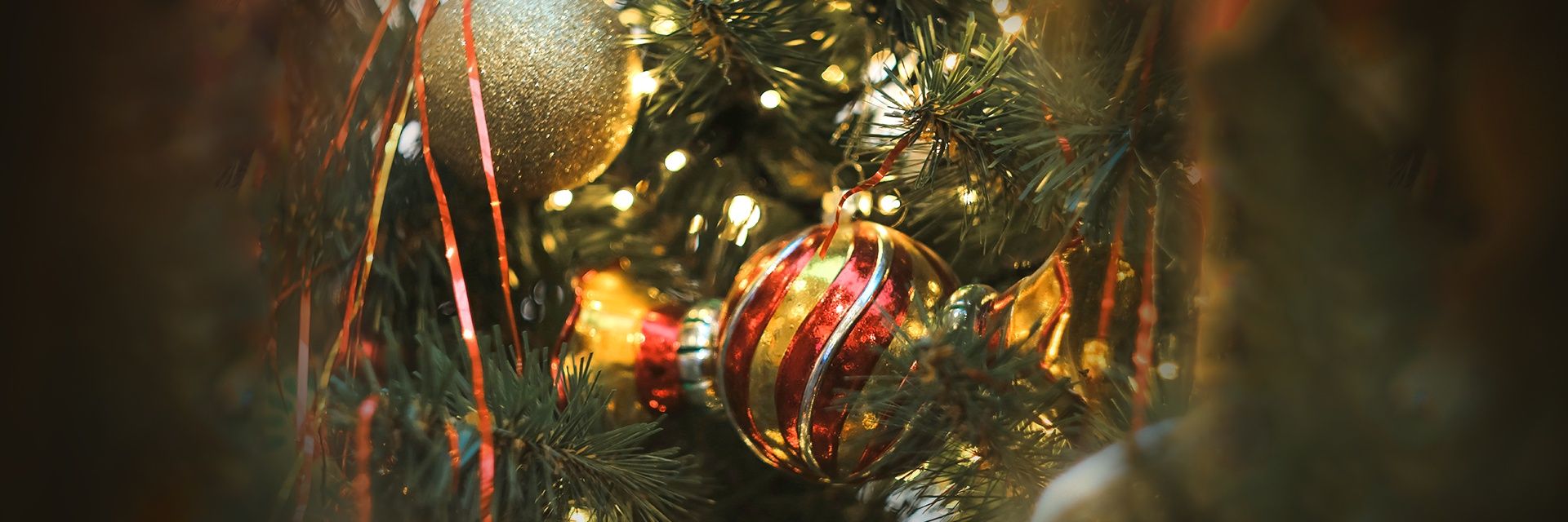 Новогодняя программа «В гостях у Мороза-воеводы»