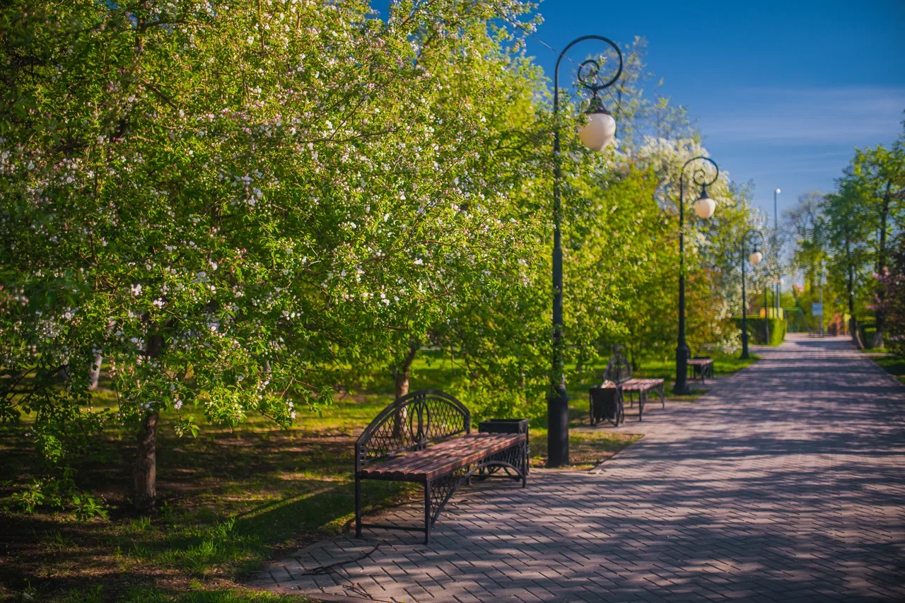 Александровский сад