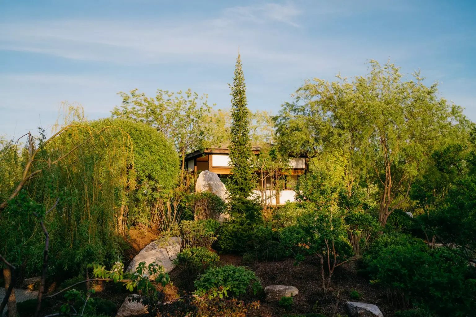 cn3de40v200kss5obe1zmw9ha9y6dfyd (1) (convert.io).webp