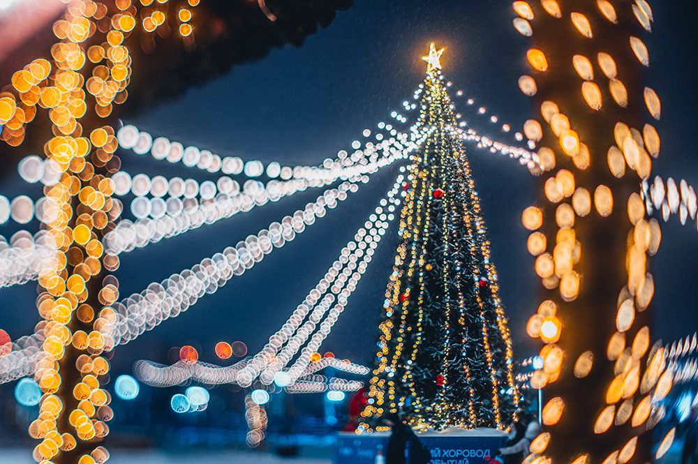 Автобусная экскурсия «Когда зажигаются елки» - картинка 1