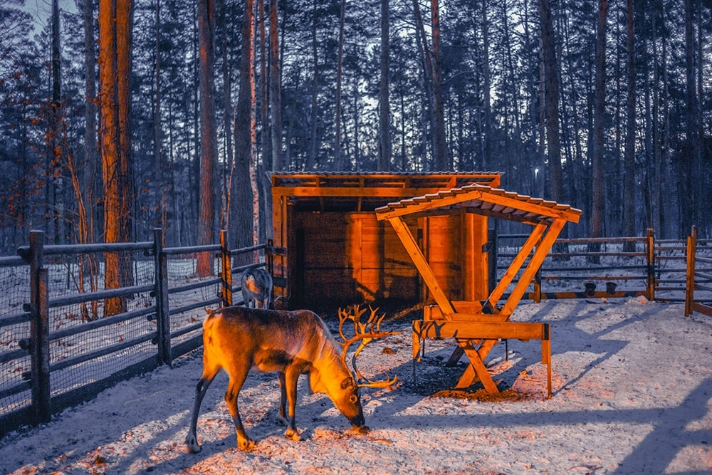 Тур «Новогоднее кружево Тюмени. МИНИ» - картинка 1 Тур «Новогоднее кружево Тюмени. МИНИ» - картинка 1