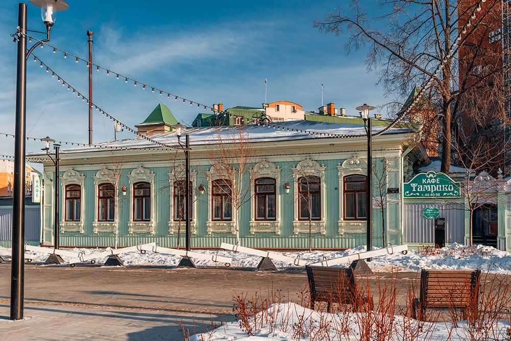 Дом Рогозиной1