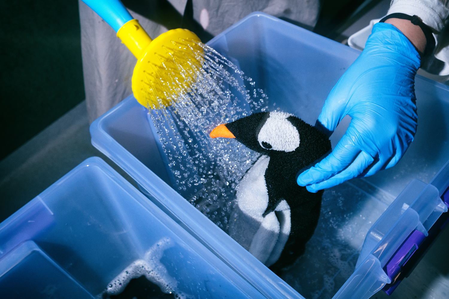 Интерактивная программа для детей «Спасти планету»