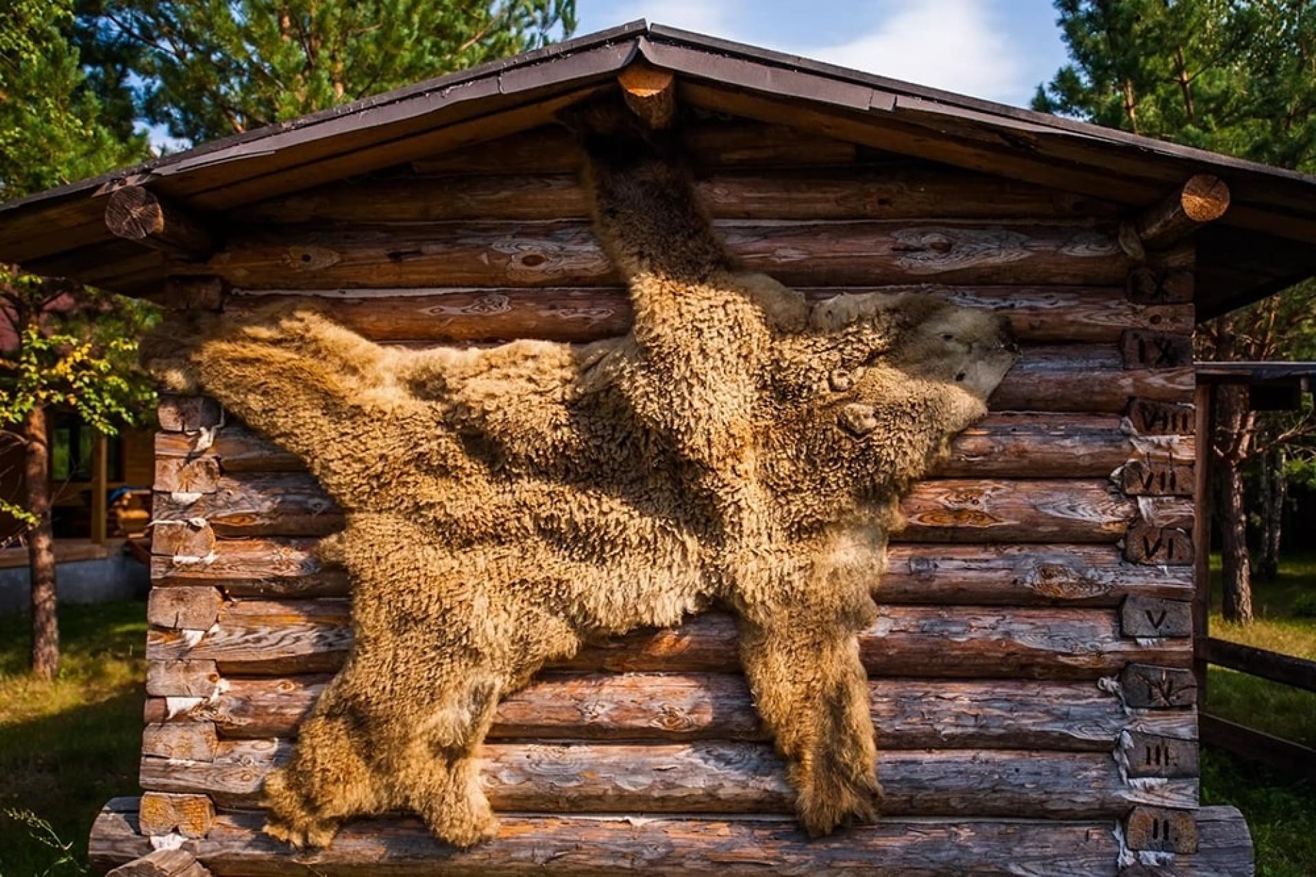 Этностойбище «Увас мир хот» (Дом северных людей)