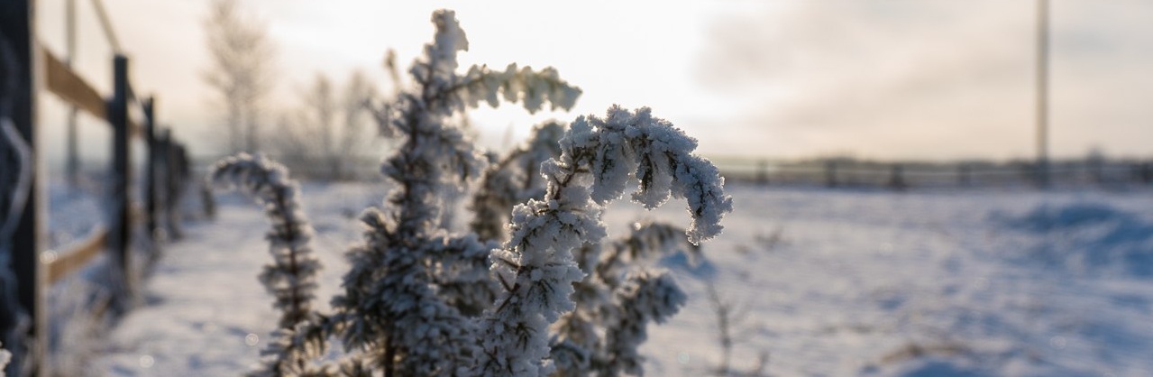 Экскурсия «Выходной в деревне»