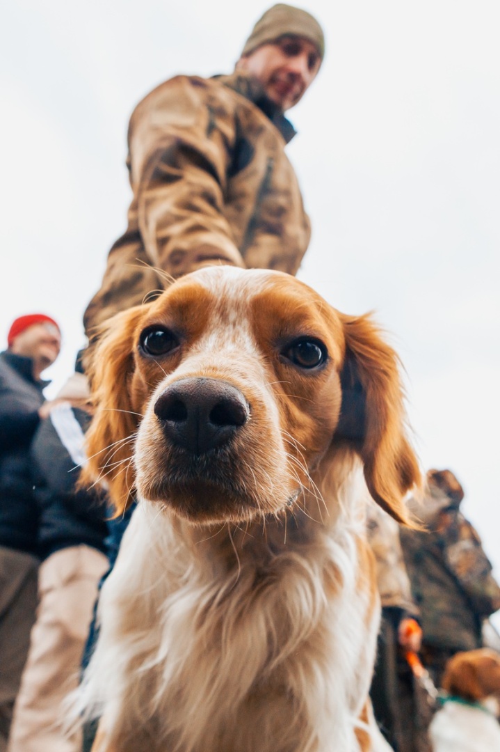 фотография - 5