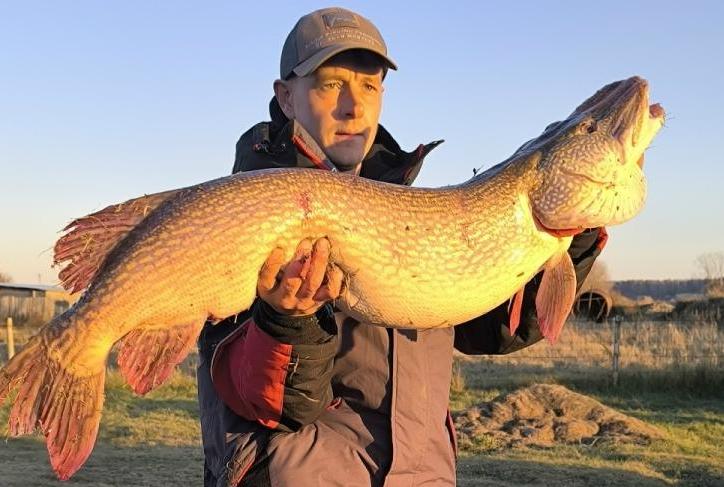 фотография - 3