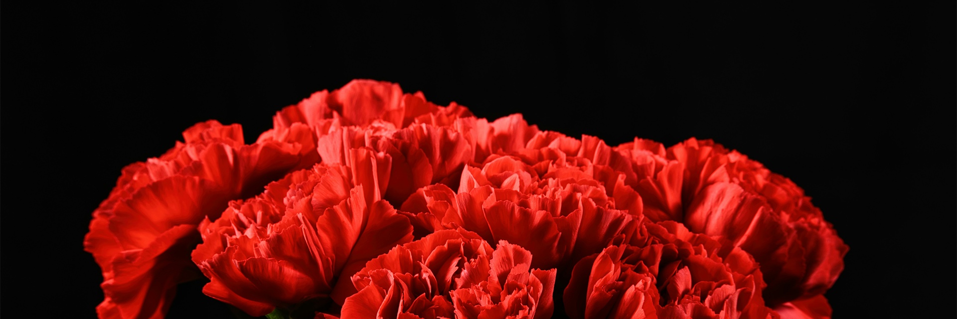 Экскурсия «Тюмень — город трудовой доблести»