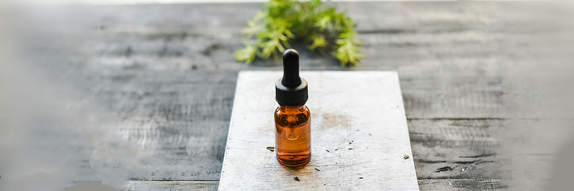 Мастер-класс «Сибирский аромат»