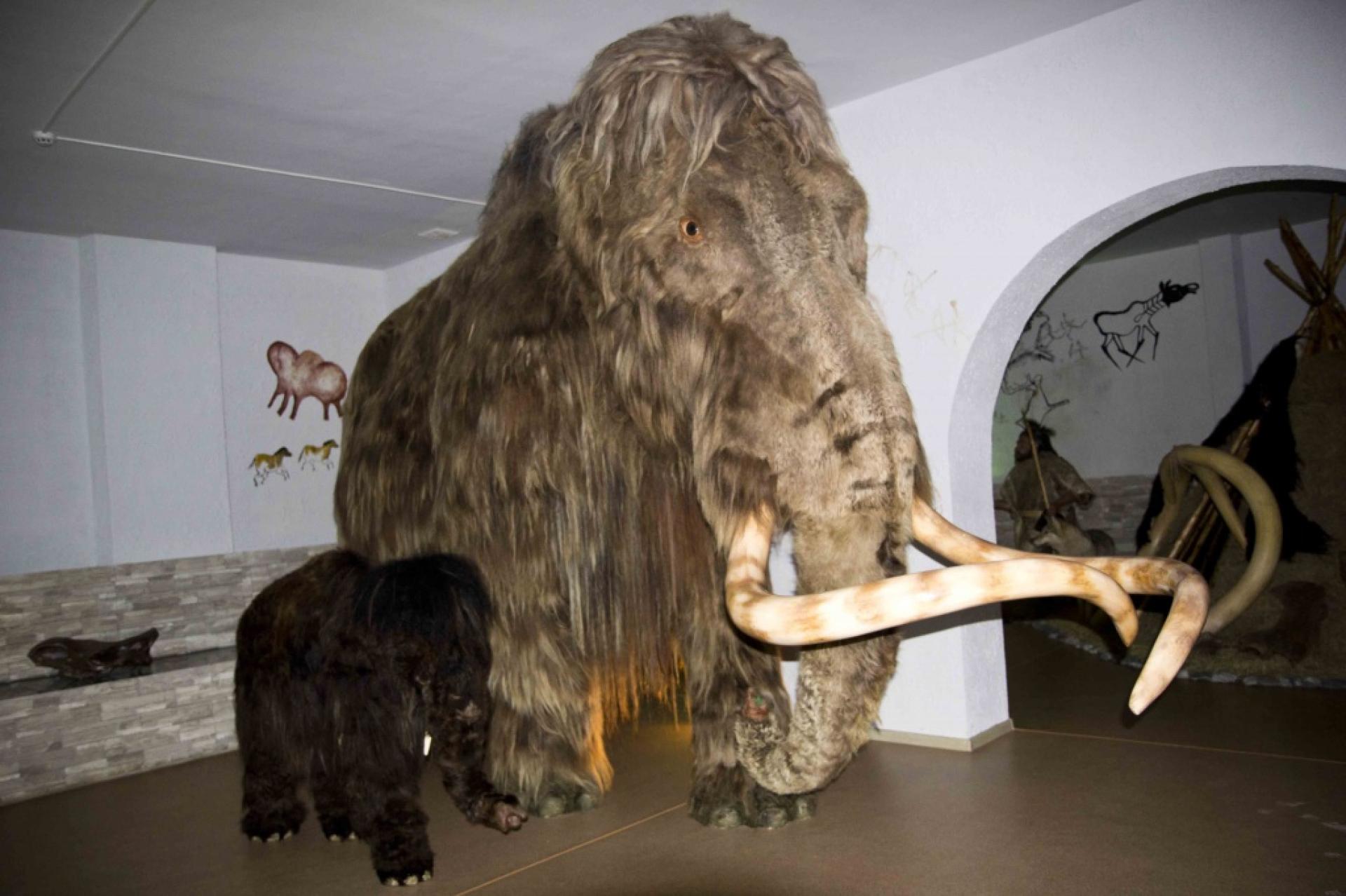 Музей «Легенды седого Иртыша»