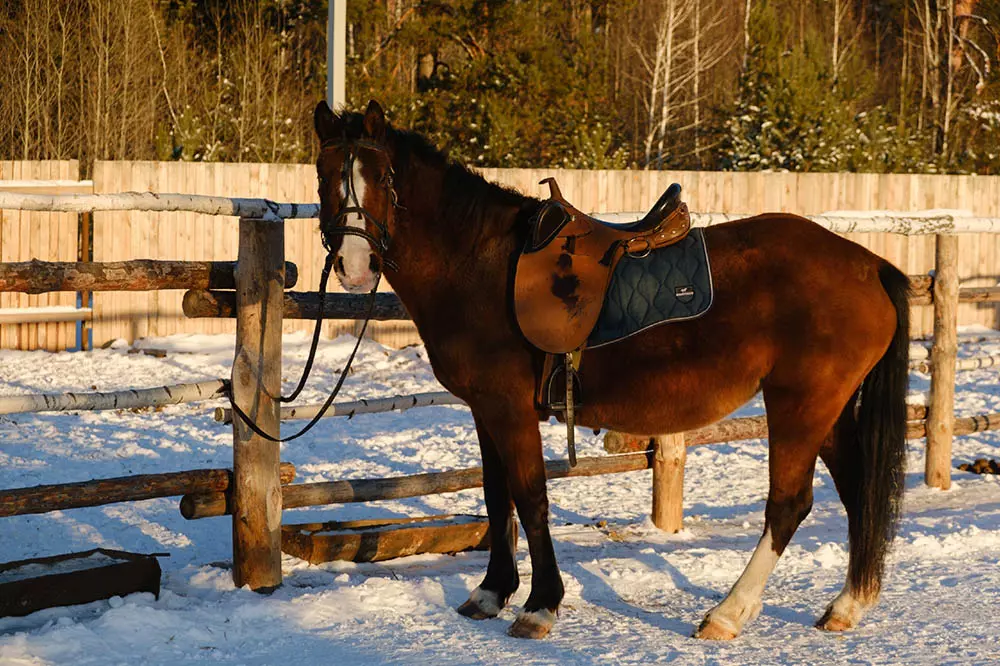 Экскурсия «В гостях у сибирских казаков» - картинка 1 Экскурсия «В гостях у сибирских казаков» - картинка 1