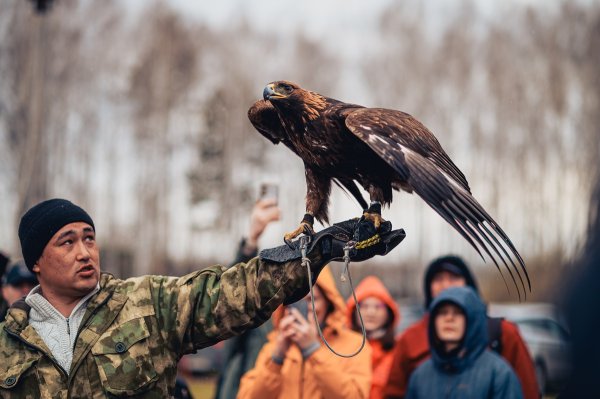 Фестиваль «Традиции охоты Сибири»