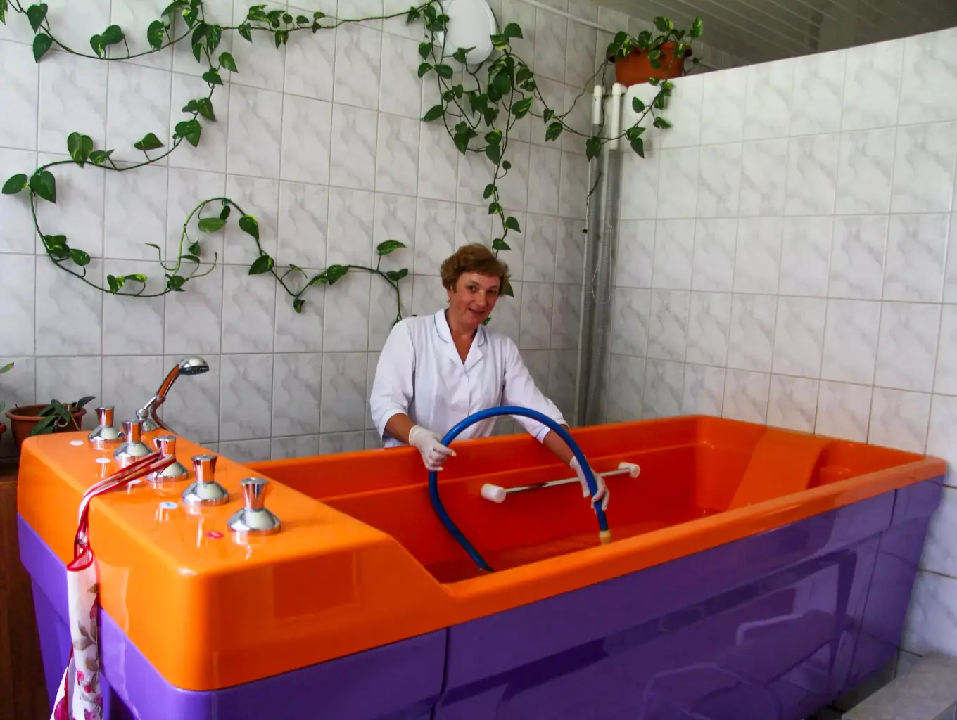 Сосновый бор