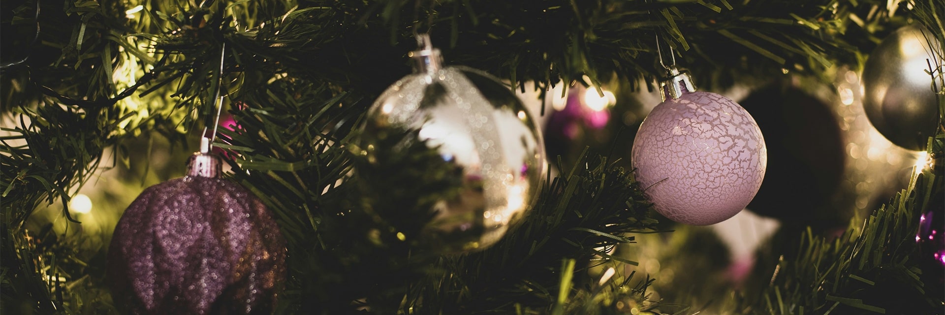 Спектакль «Синяя птица»